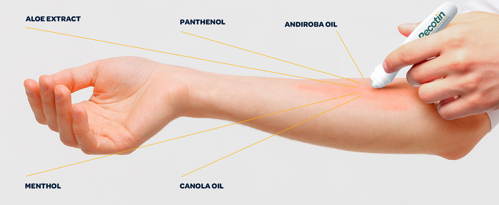 Recotin roll-on ingredients